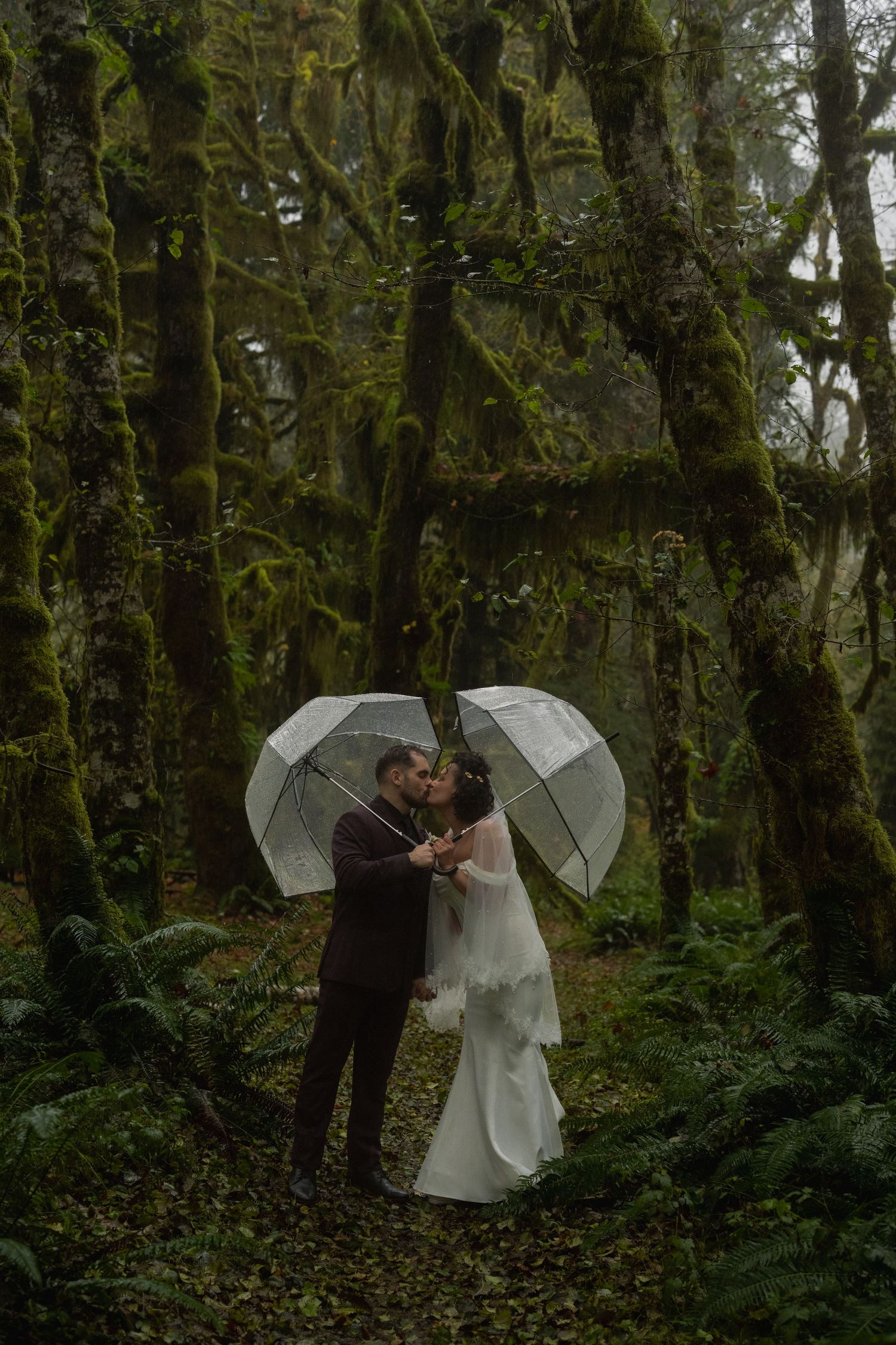 A couple shares a romantic moment under clear umbrellas in a misty forest setting.