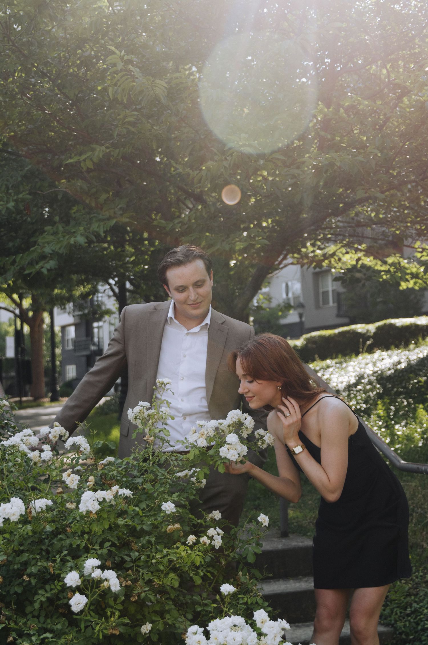 A couple shares tender moments in a garden with white roses and sunlit trees in the background.