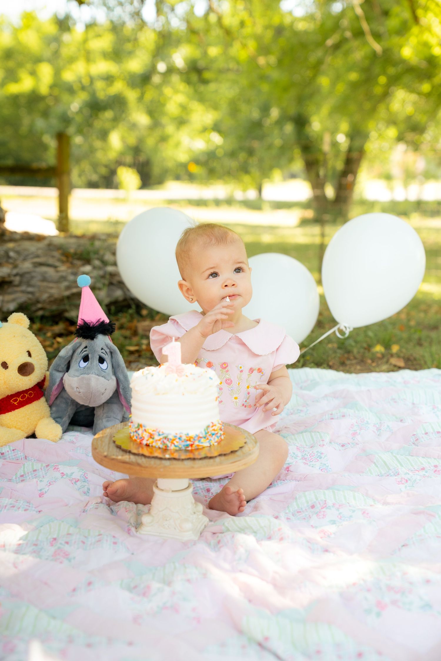 Professional portraits for baby one year birthday