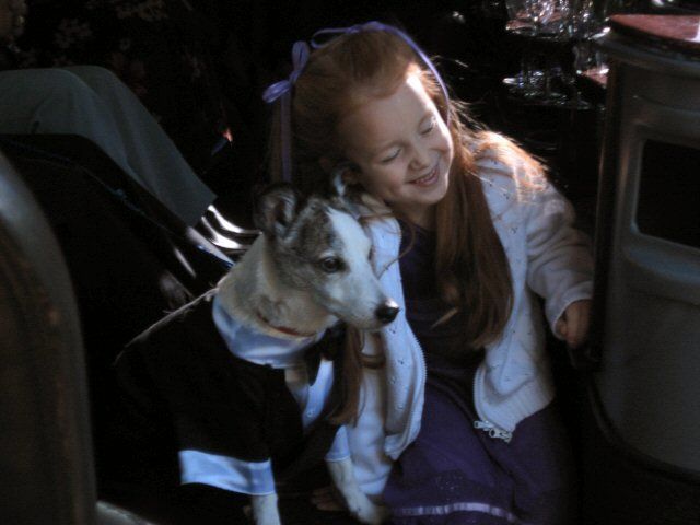 Dog dressed in a tux at an intimate wedding, with a little girl laughing