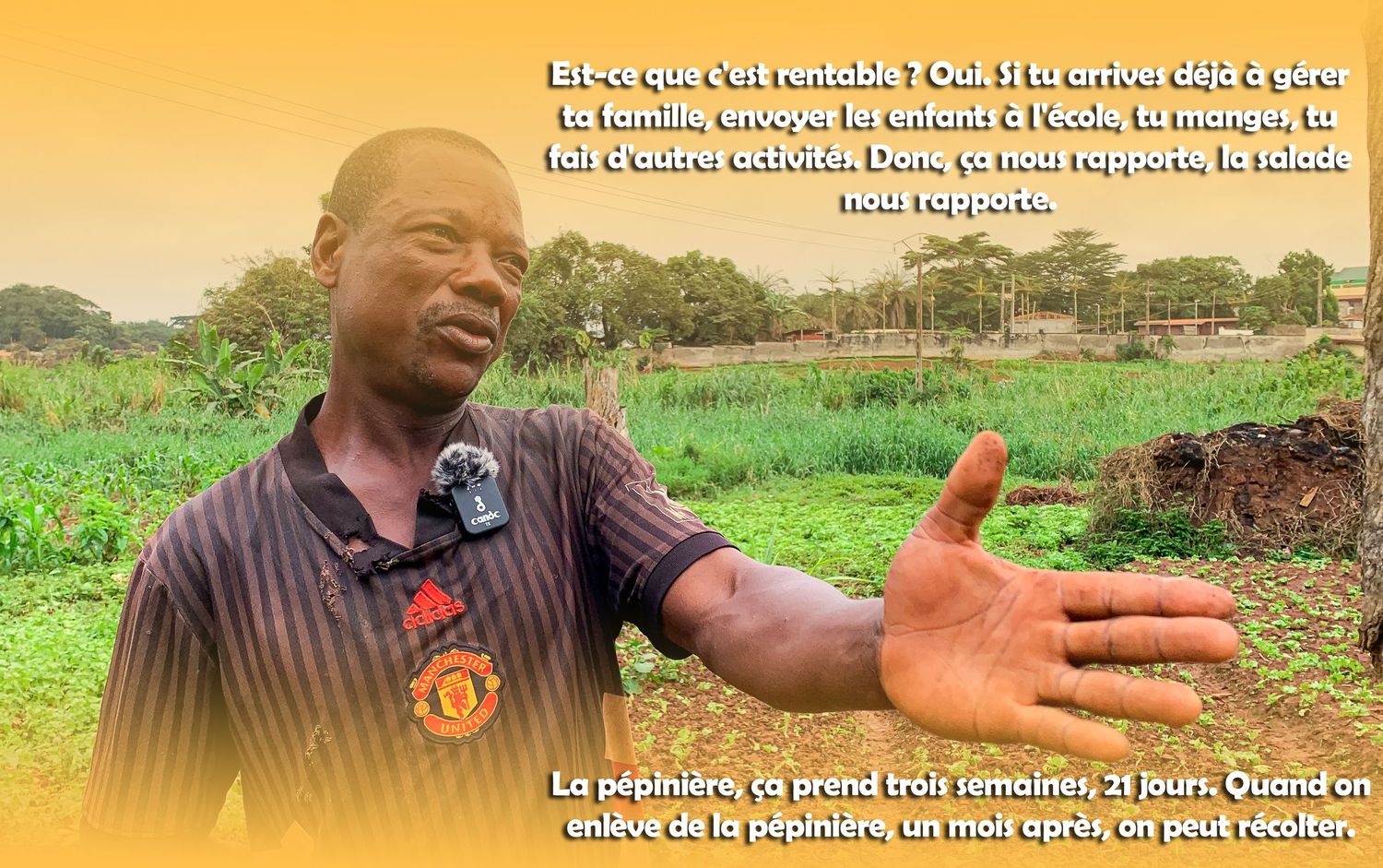 African farmer discusses profitable lettuce nursery cultivation in a dry agricultural field.
