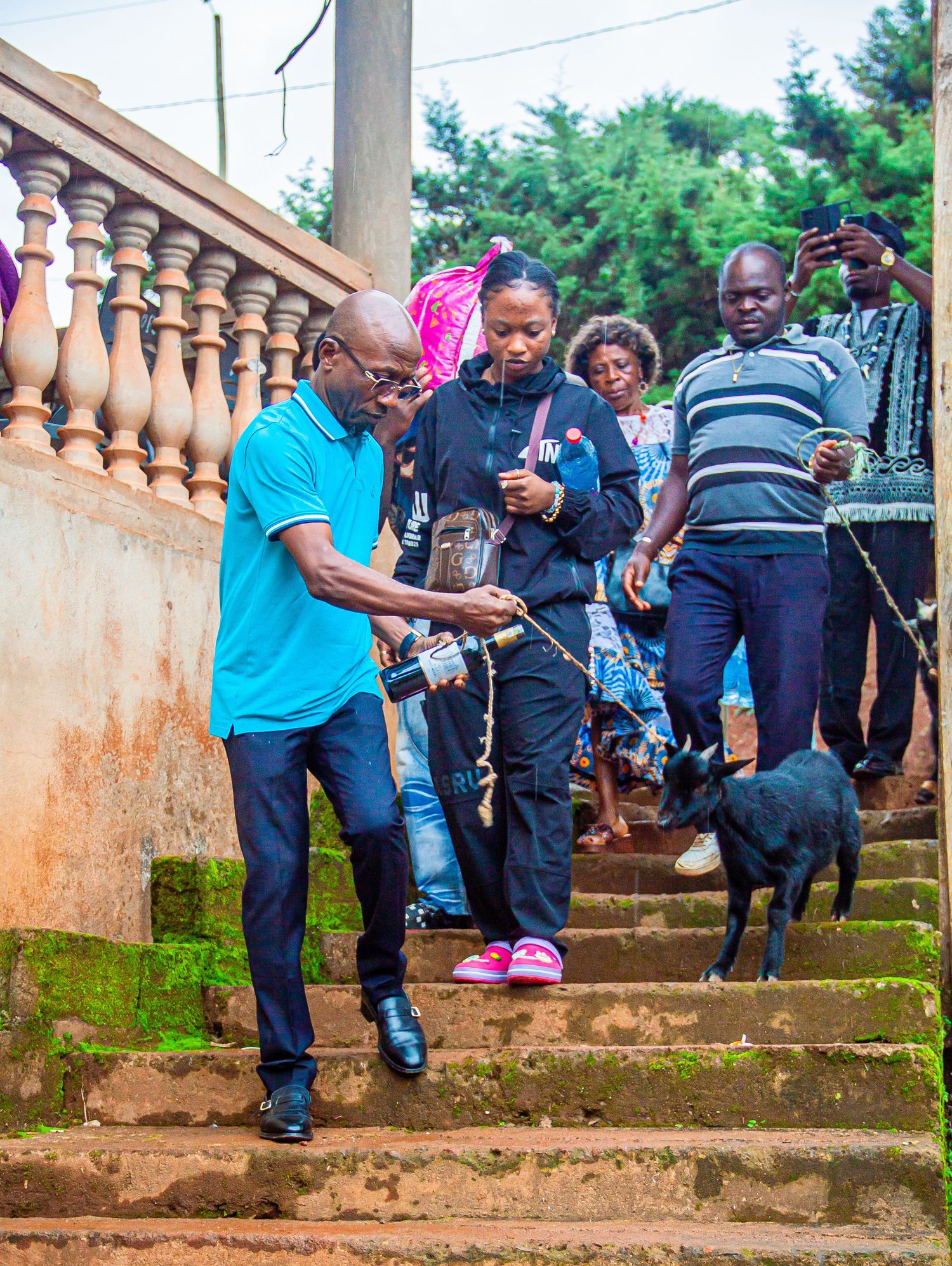 A group of people descending moss-covered stone steps with a black dog on a leash in an outdoor setting.