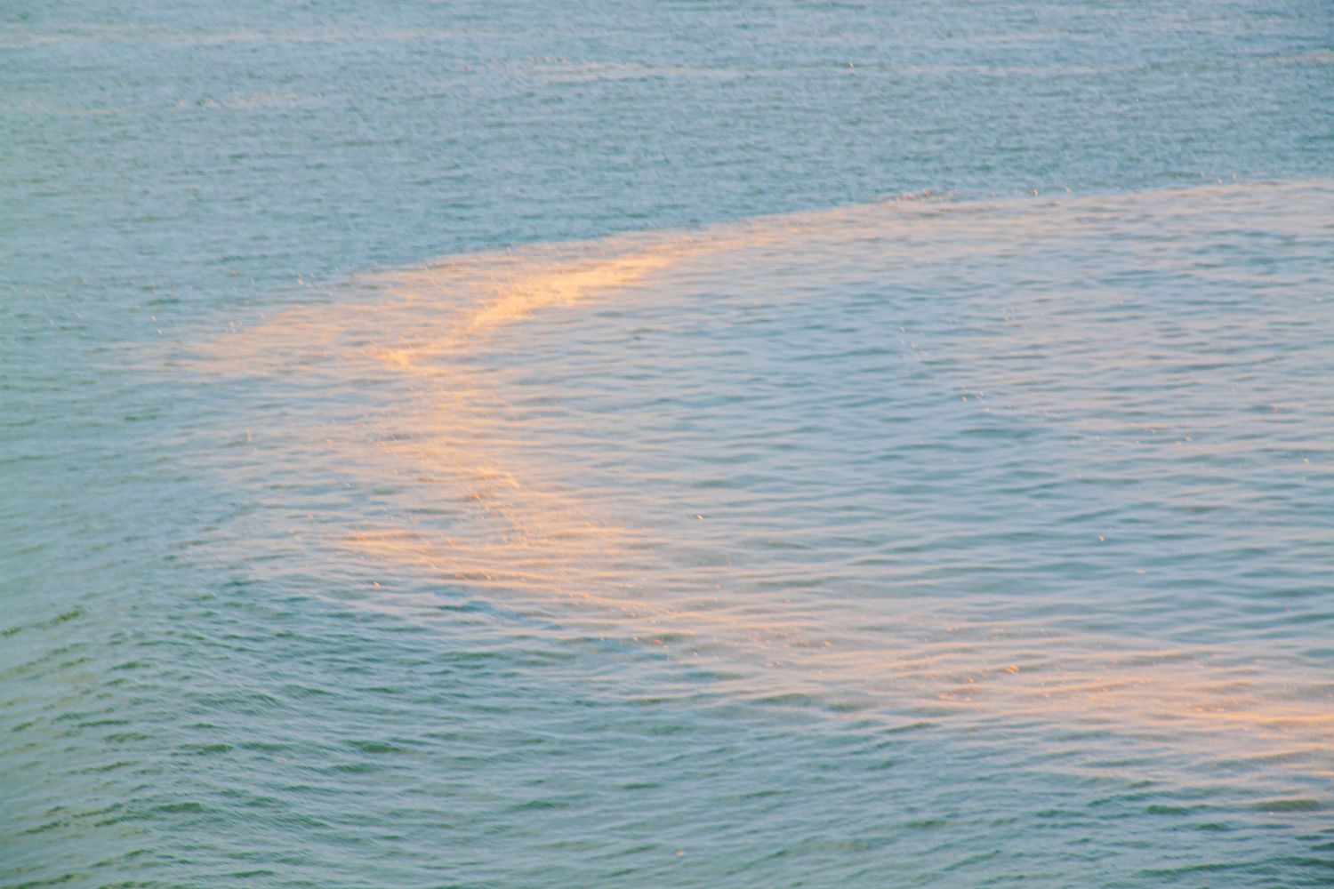 Calm ocean water reflecting warm golden sunset light creating a beautiful curved ripple pattern.