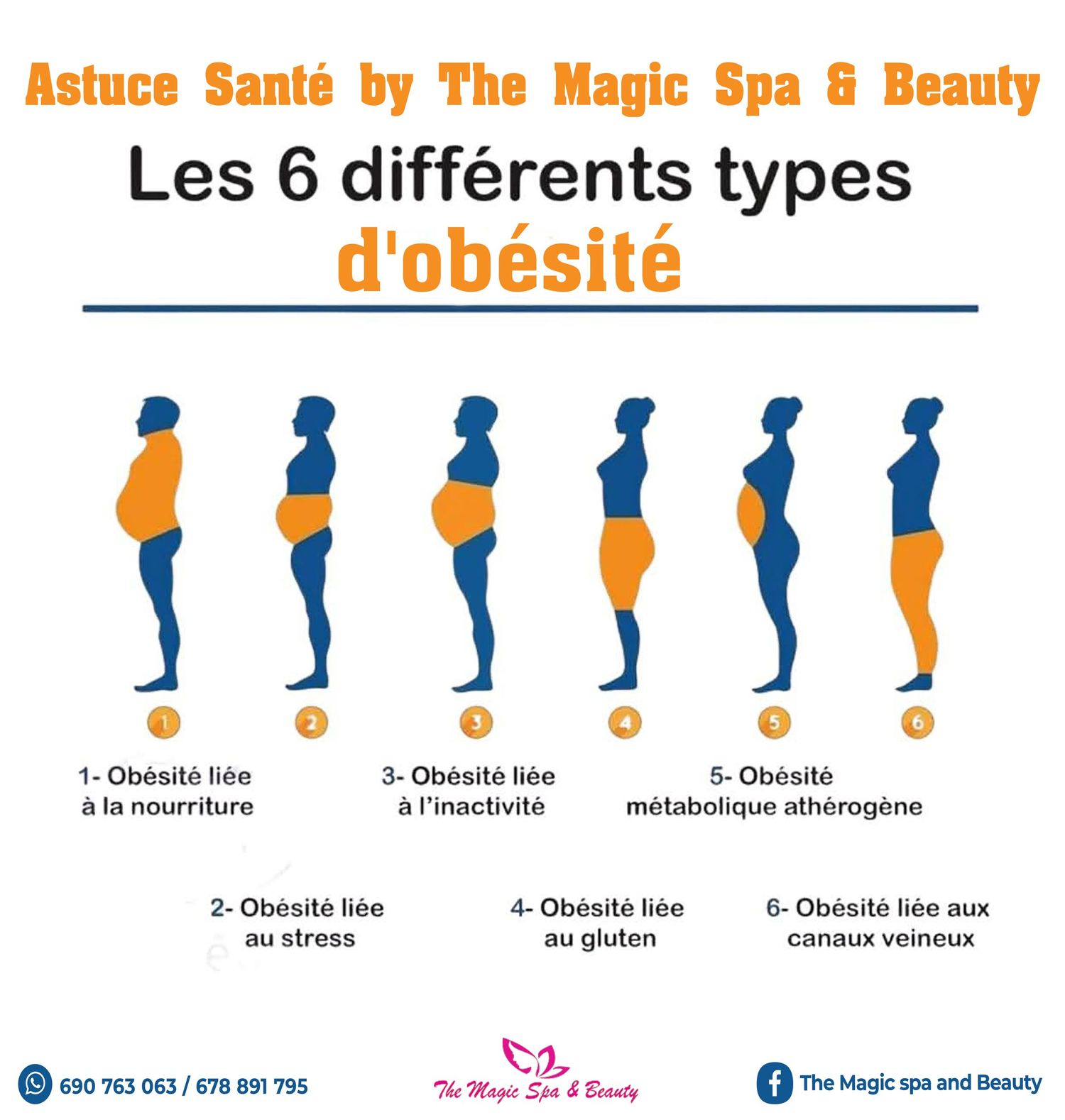 French infographic illustrating the 6 different types of obesity with silhouette diagrams by The Magic Spa and Beauty.