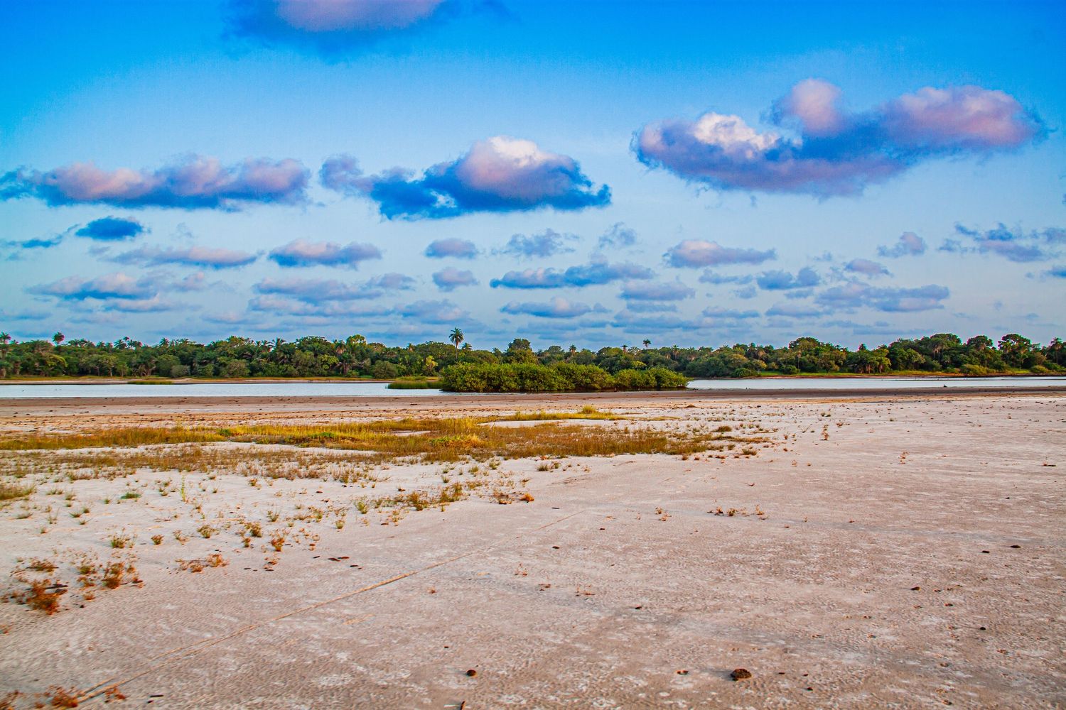 Vast flat sandy landscape with sparse vegetation under a bright blue cloudy sky.