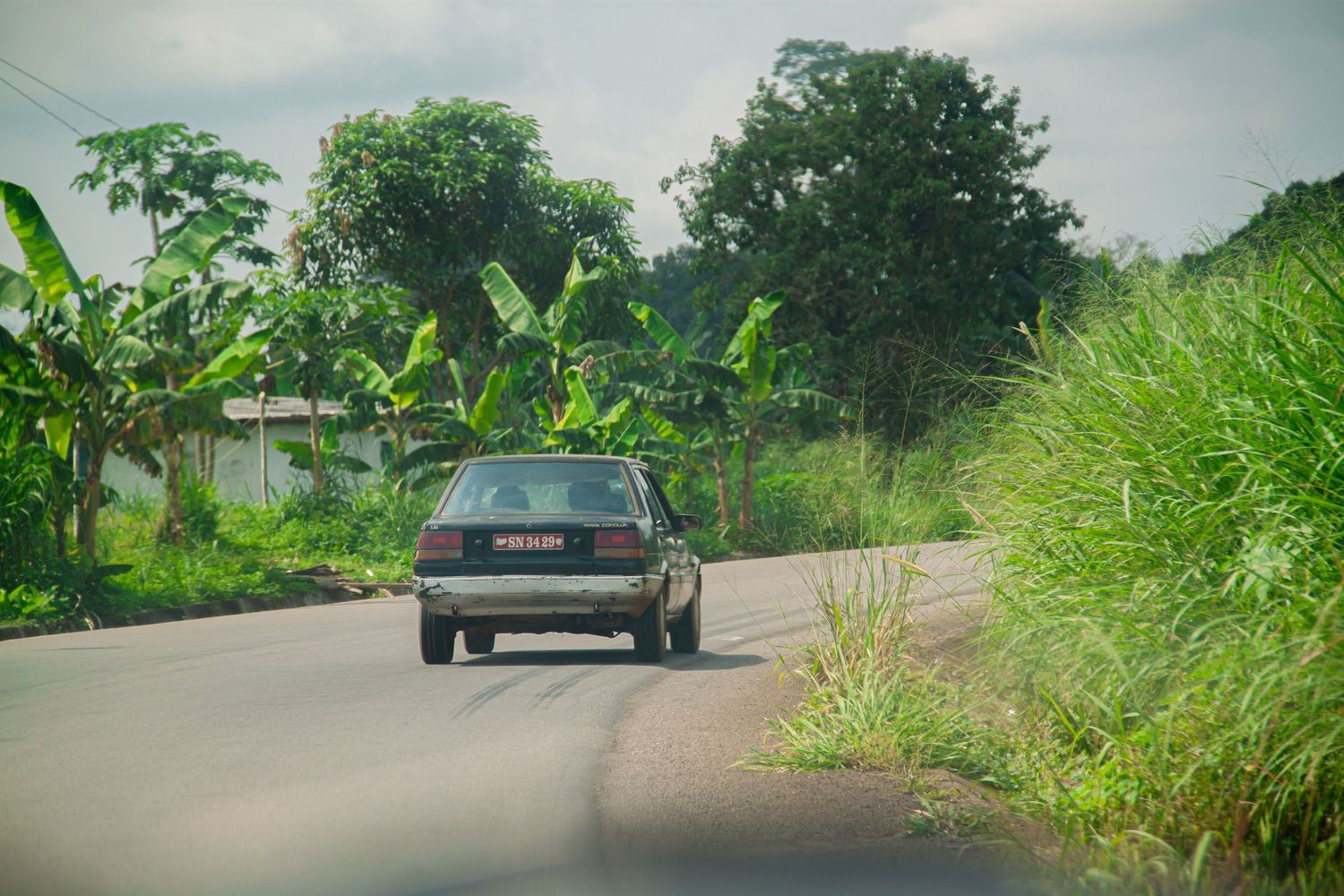 Vintage car driving along a tropical road lined with banana trees and lush green vegetation.