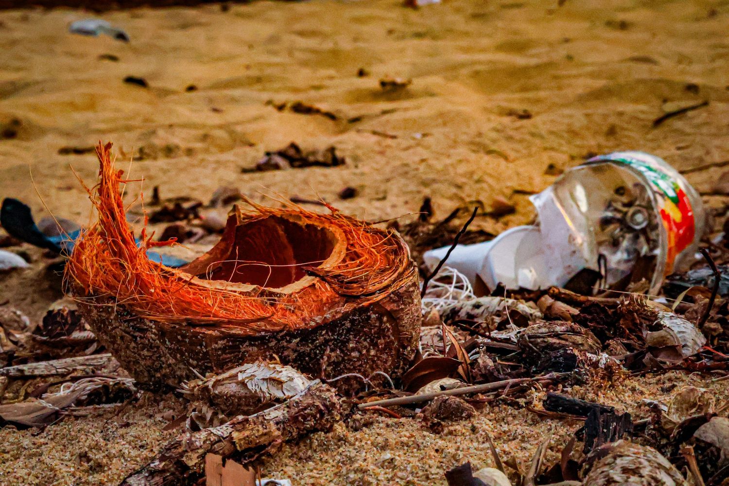 Discarded coconut shell and plastic waste littering a sandy tropical beach among dried leaves and debris.