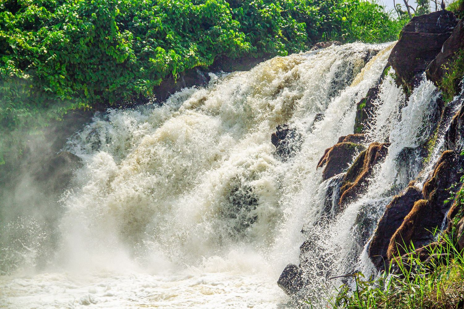 Powerful rushing waterfall with white foamy water flowing over rocks in a tropical setting.