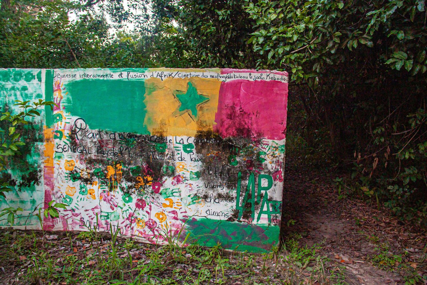 Weathered wall painted with Senegal national flag colors and graffiti in lush greenery.