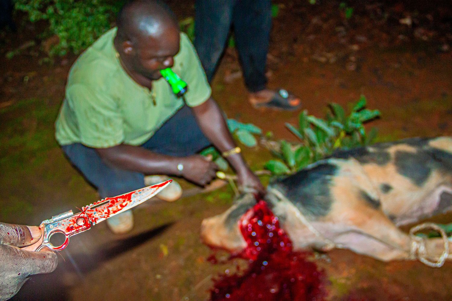 Man butchering a pig at night with a blood-covered knife during a traditional outdoor ceremony.