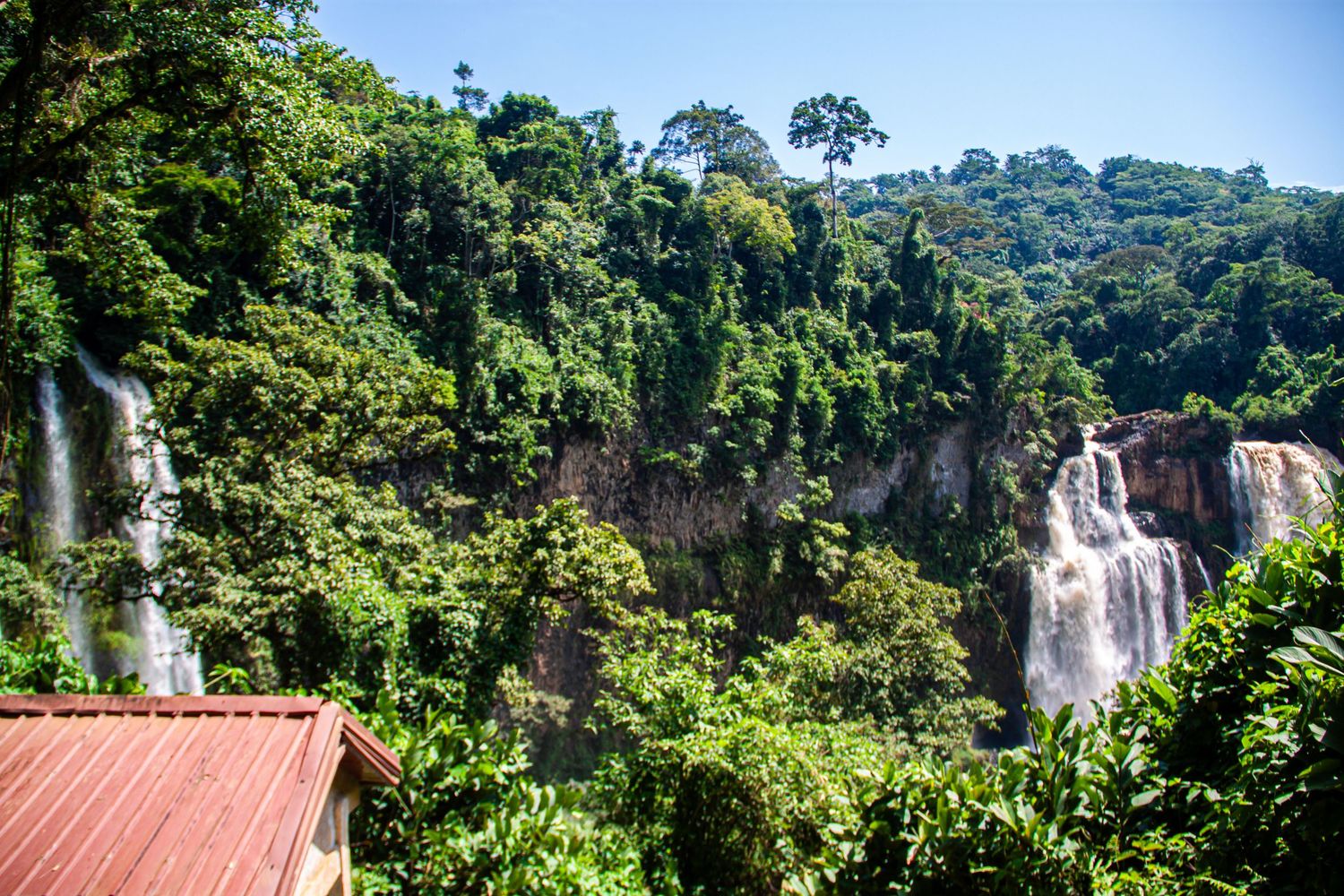 Lush tropical rainforest with two majestic waterfalls cascading down rocky cliffs surrounded by dense green vegetation.