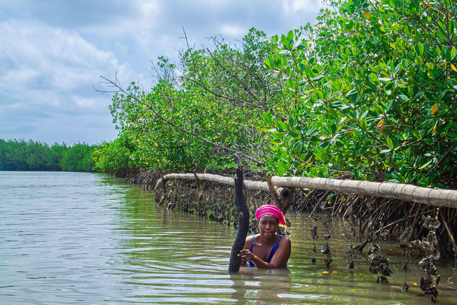Smiling African woman standing waist-deep in water among mangrove trees on a sunny day.