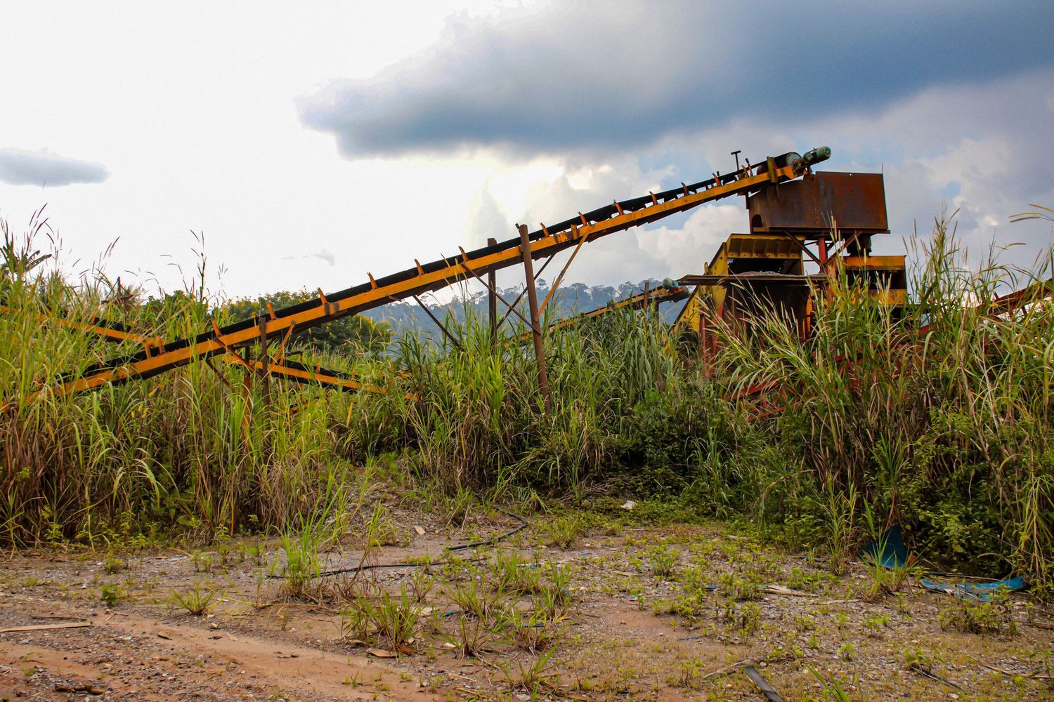 Abandoned industrial conveyor belt surrounded by overgrown vegetation under a cloudy sky.