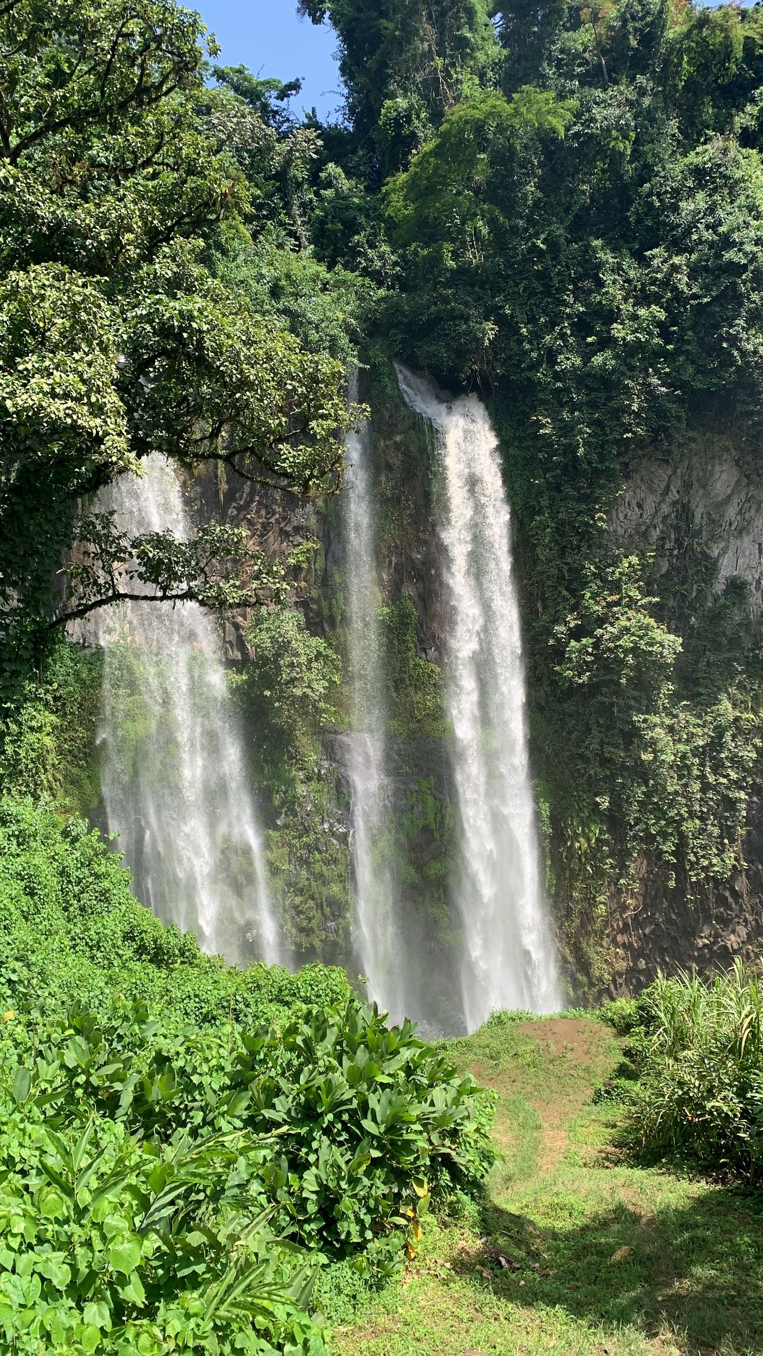 Twin waterfalls flowing down a moss-covered cliff face surrounded by dense green tropical vegetation.