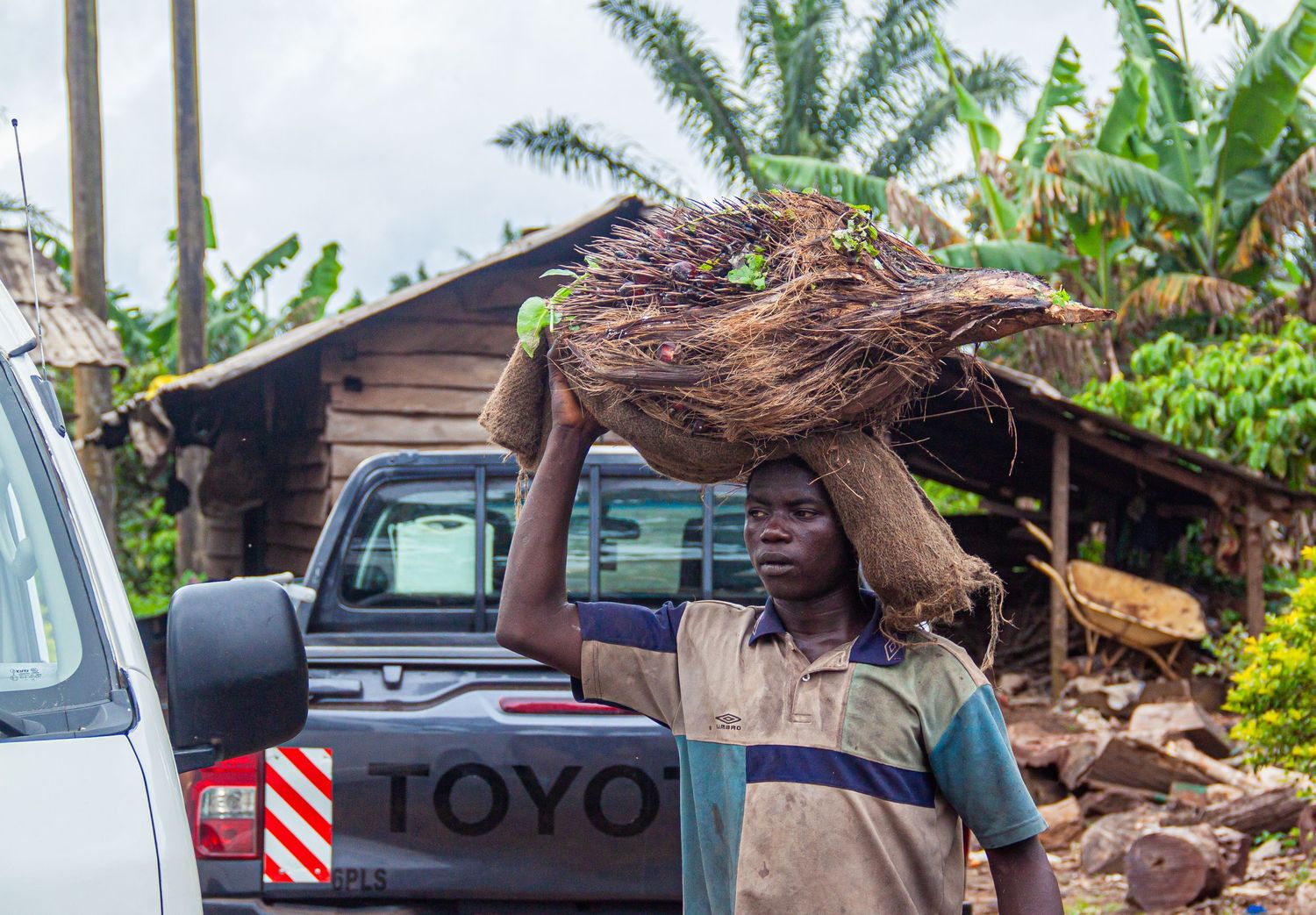 African man carrying palm fronds on his head near a Toyota pickup truck in a village.