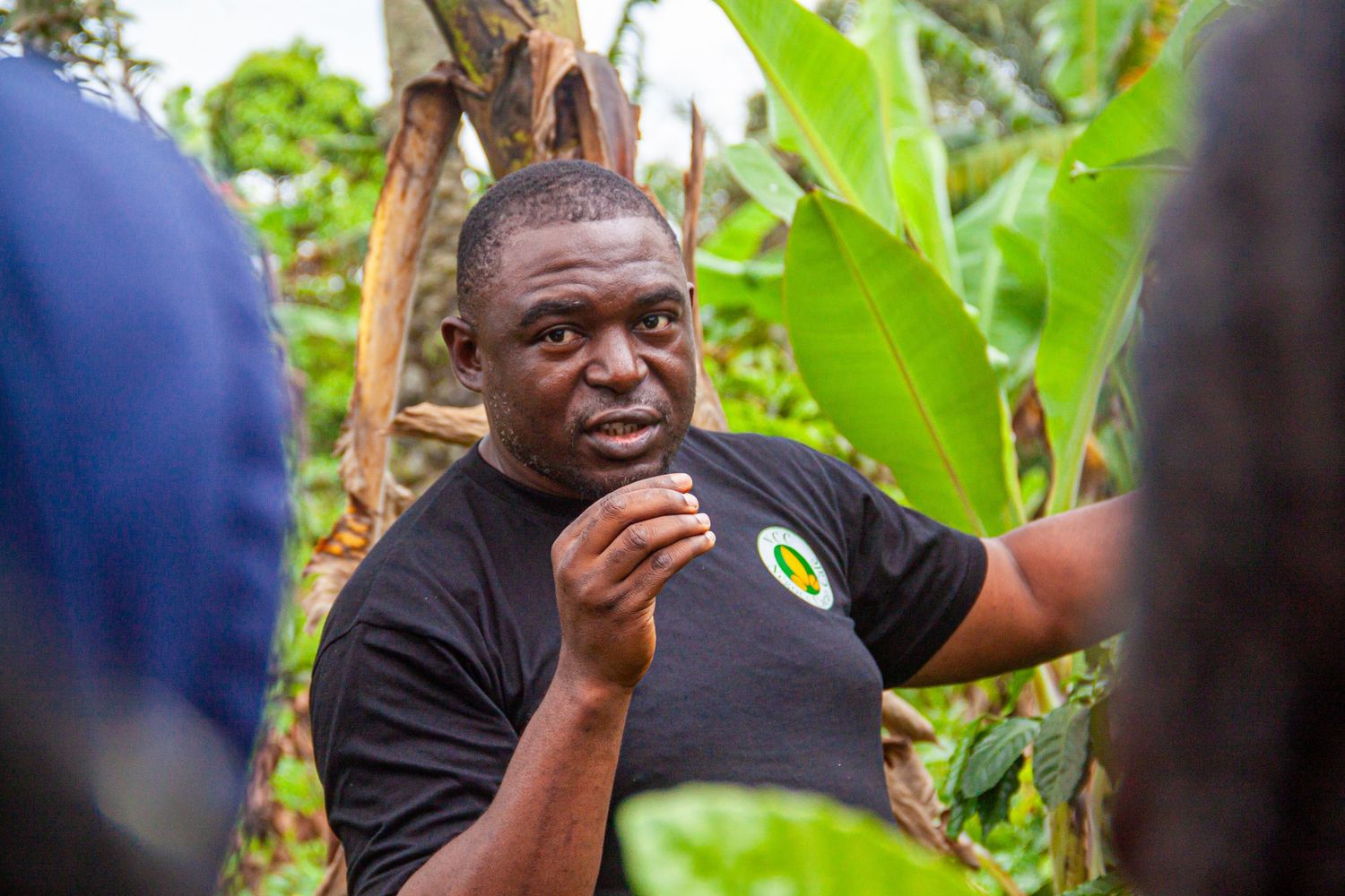 African man in black shirt speaking expressively outdoors in a tropical agricultural environment.