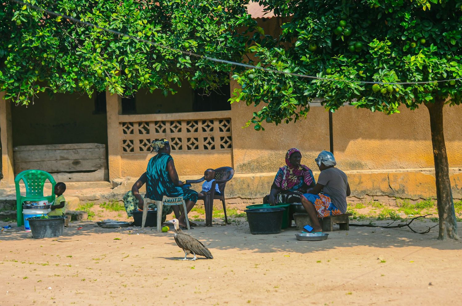 Two African women sit under shady trees near a building while a large bird walks on sandy ground nearby.