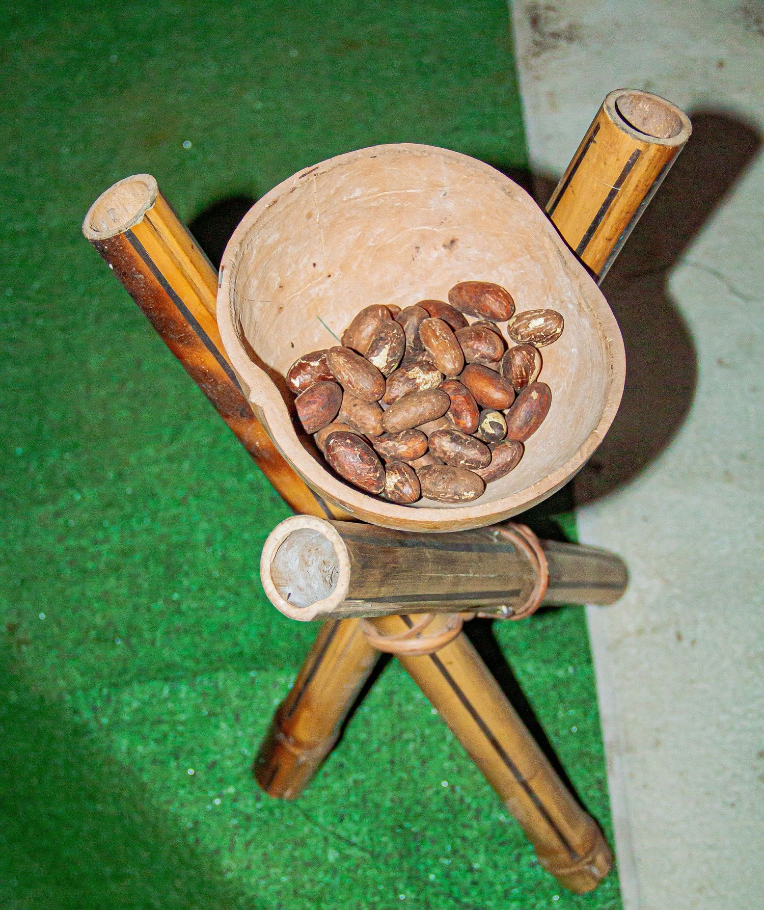 Brown kola nuts in a clay bowl supported by a rustic bamboo stand on green artificial grass.
