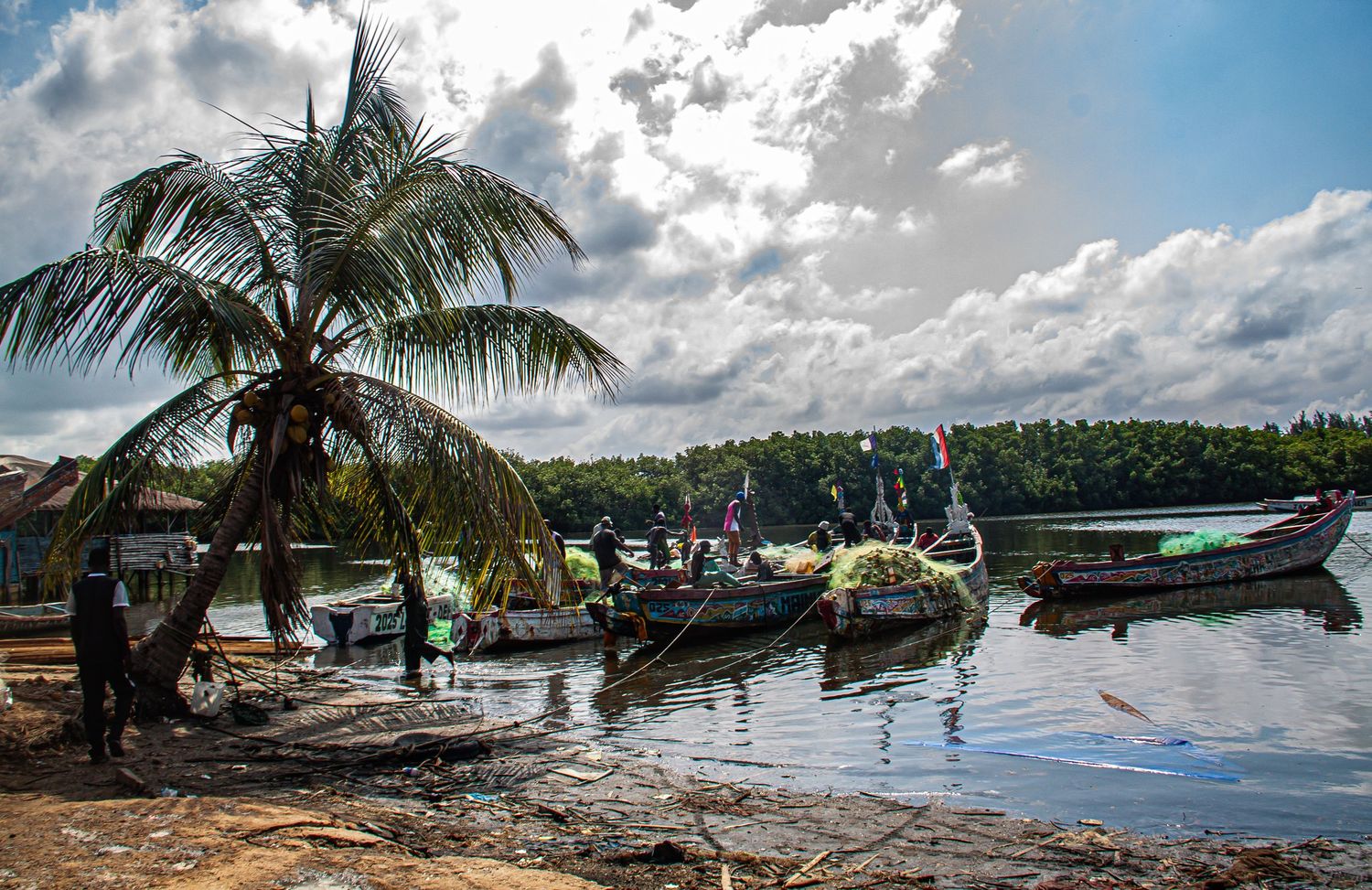 Traditional wooden fishing boats moored along a tropical riverbank with palm trees and cloudy sky.