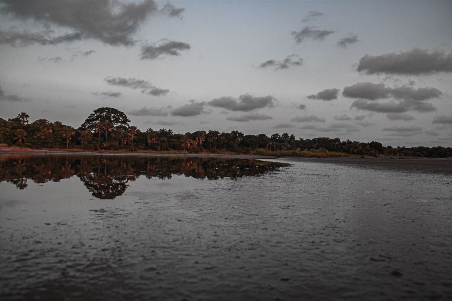 Calm river reflecting trees and cloudy sky at dusk in a serene African landscape.