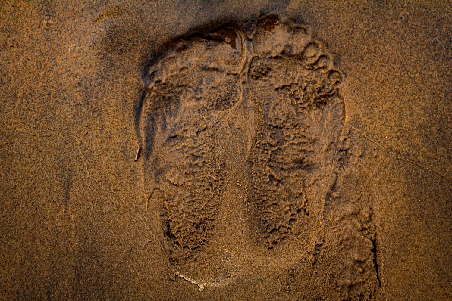 Two bare human footprints pressed into wet golden sand on a tropical beach.
