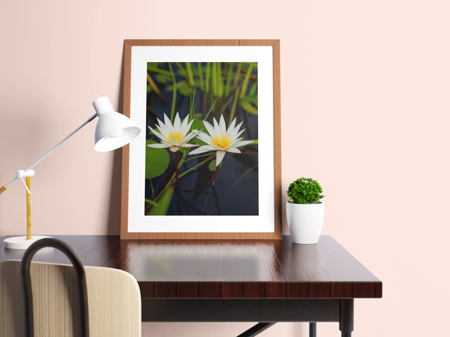 Framed fine art print of two white water lily flowers floating on dark water on a wooden desk.