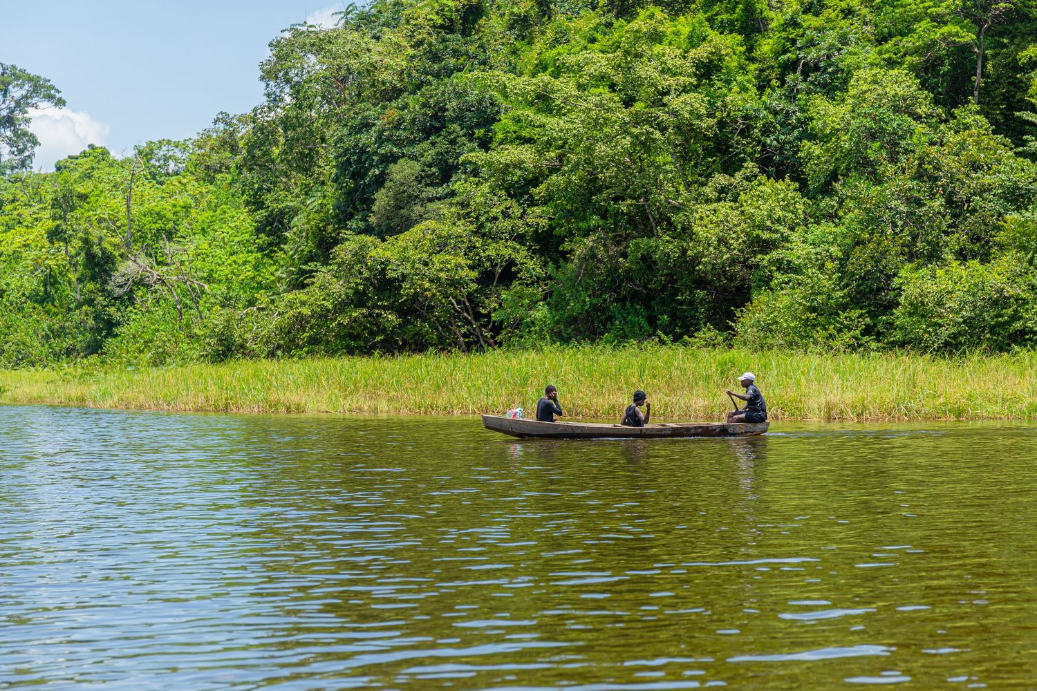Three people rowing a dugout canoe on a serene river bordered by dense tropical forest.