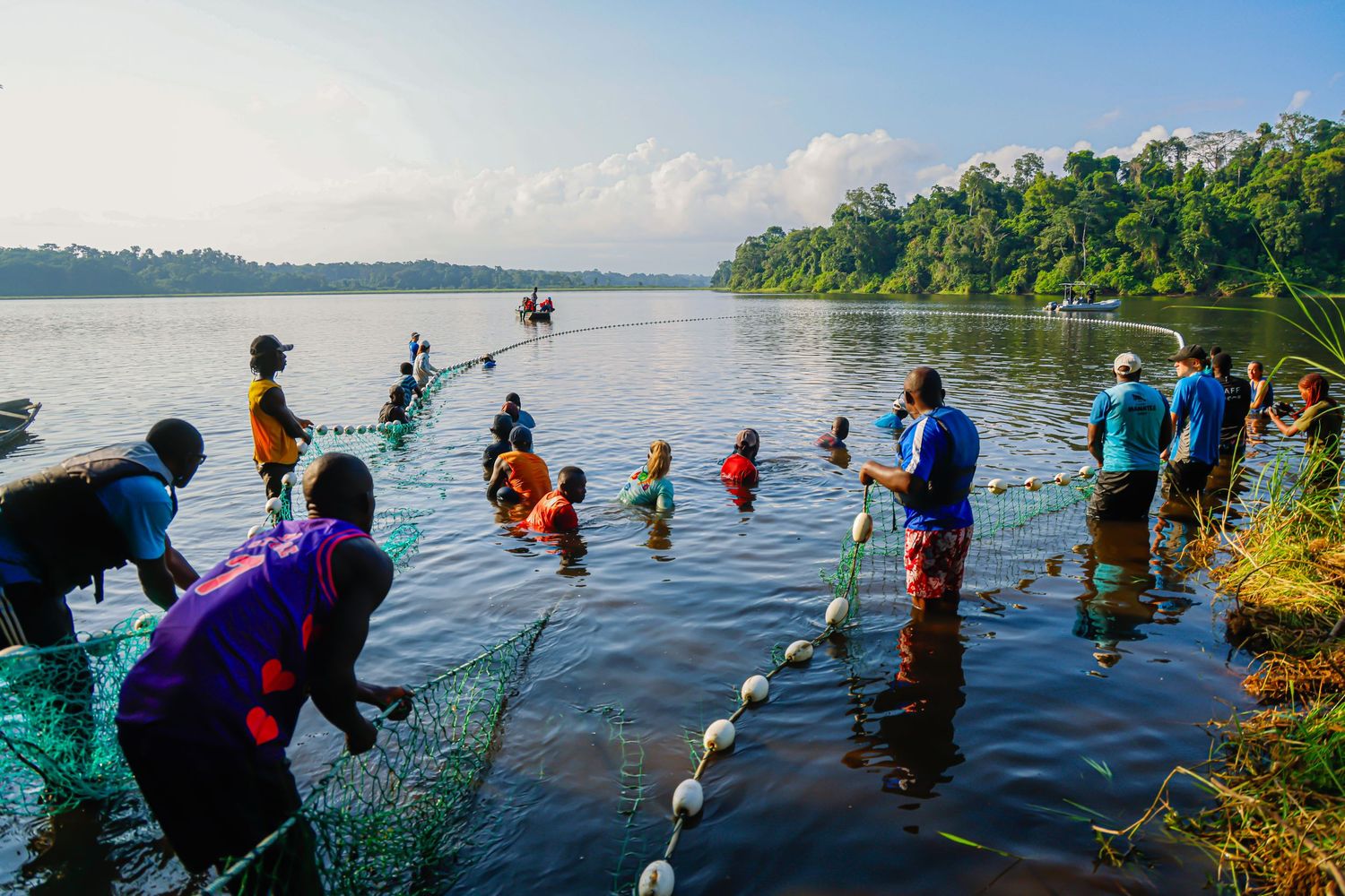 A large group of people wade in a river pulling a green fishing net together in a lush tropical landscape.