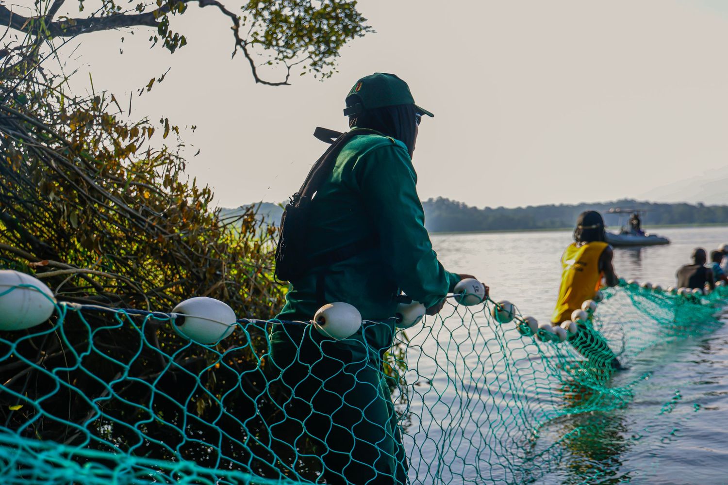 A worker manages a large green fishing net along a scenic tropical riverbank during a community fishing operation.