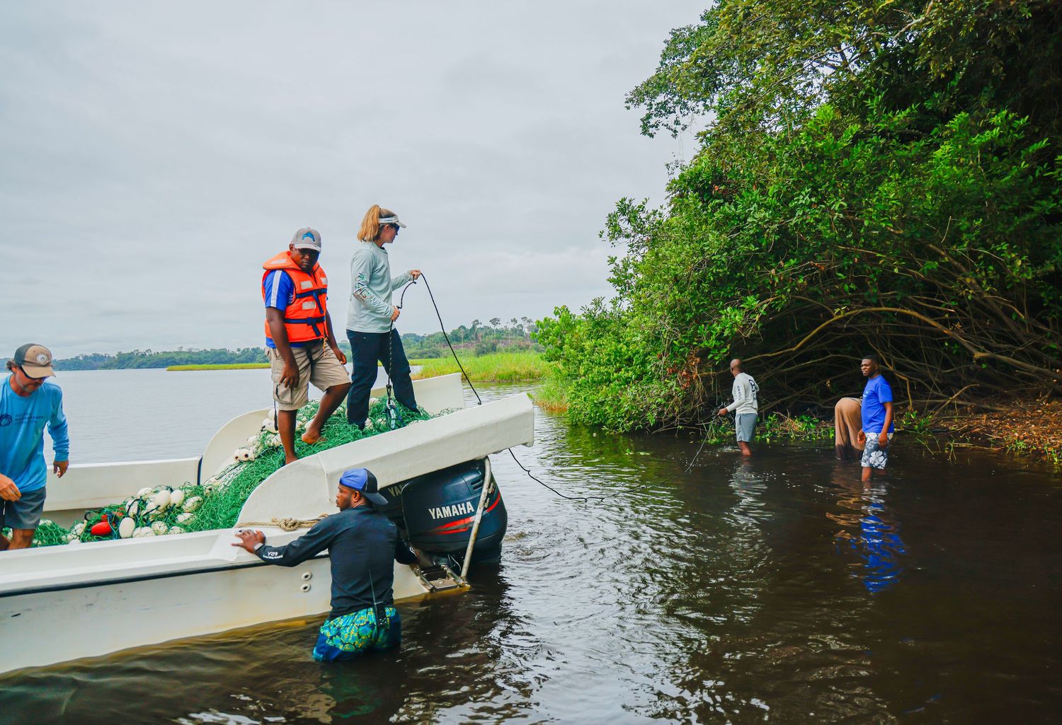 A team of workers hauls a green fishing net from a motorboat along a lush tropical river shoreline.