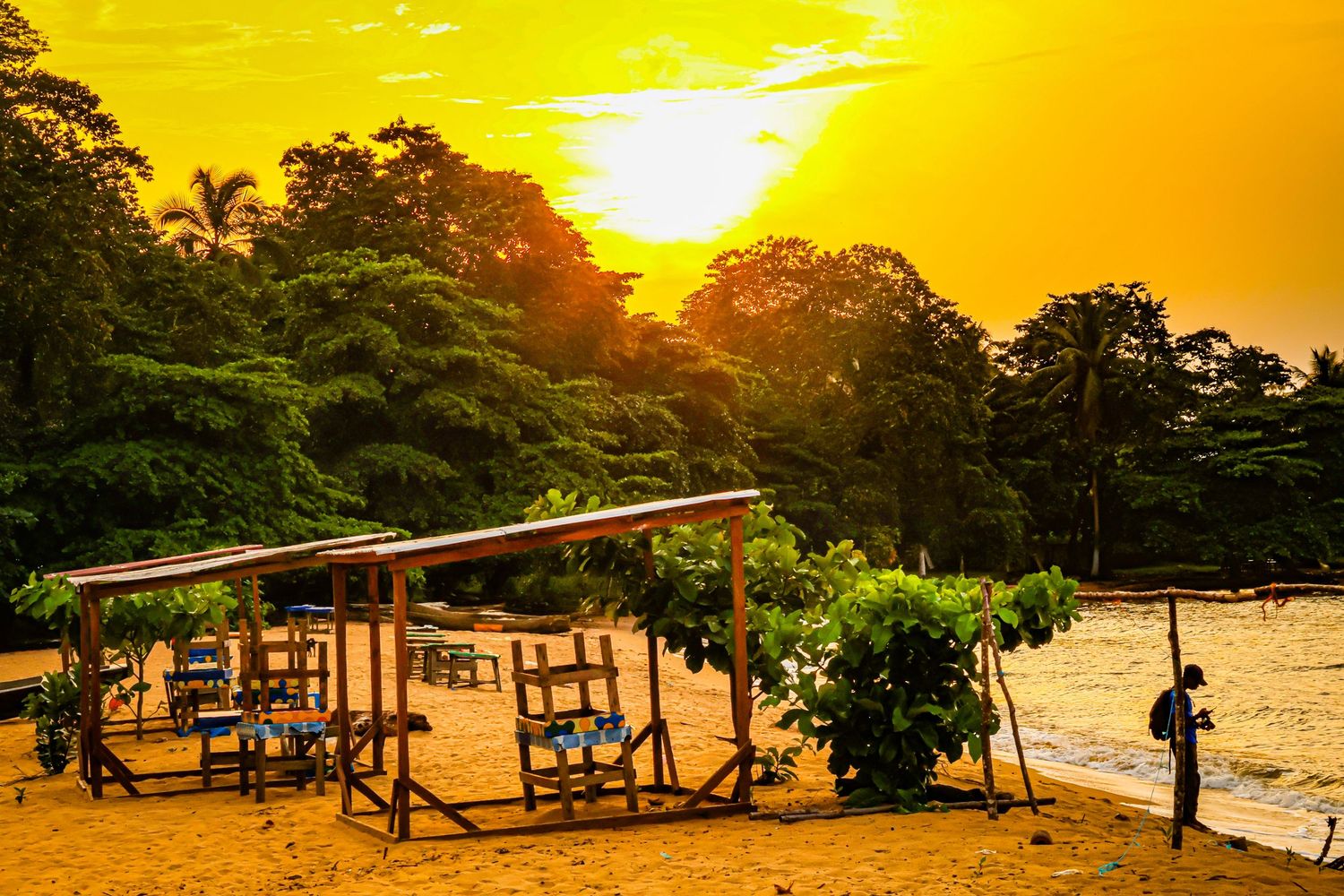 Golden sunset over tropical beach with wooden chairs and lush green trees.