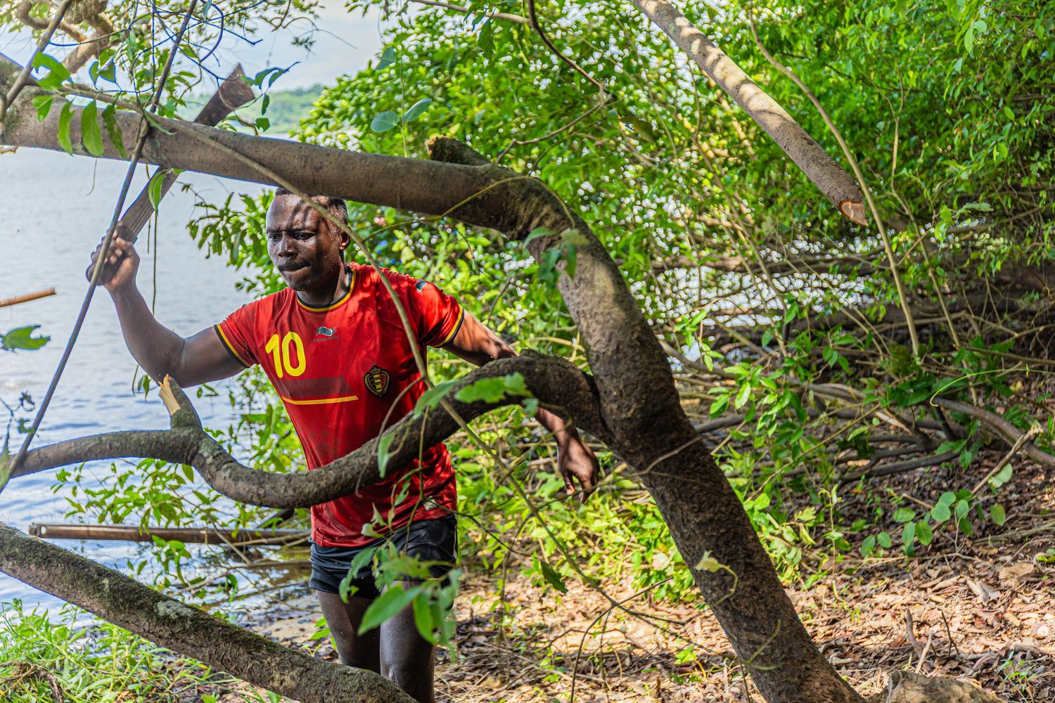 A man in a red soccer jersey climbs through dense green trees along a tropical riverbank during fieldwork.