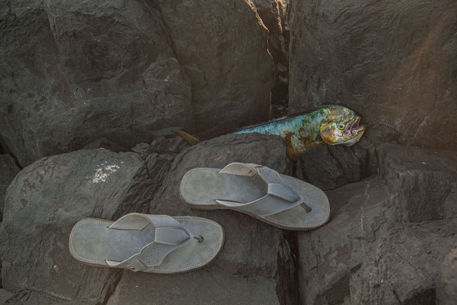 Pair of worn flip flop sandals resting on dark rocks beside a colorful tropical fish.