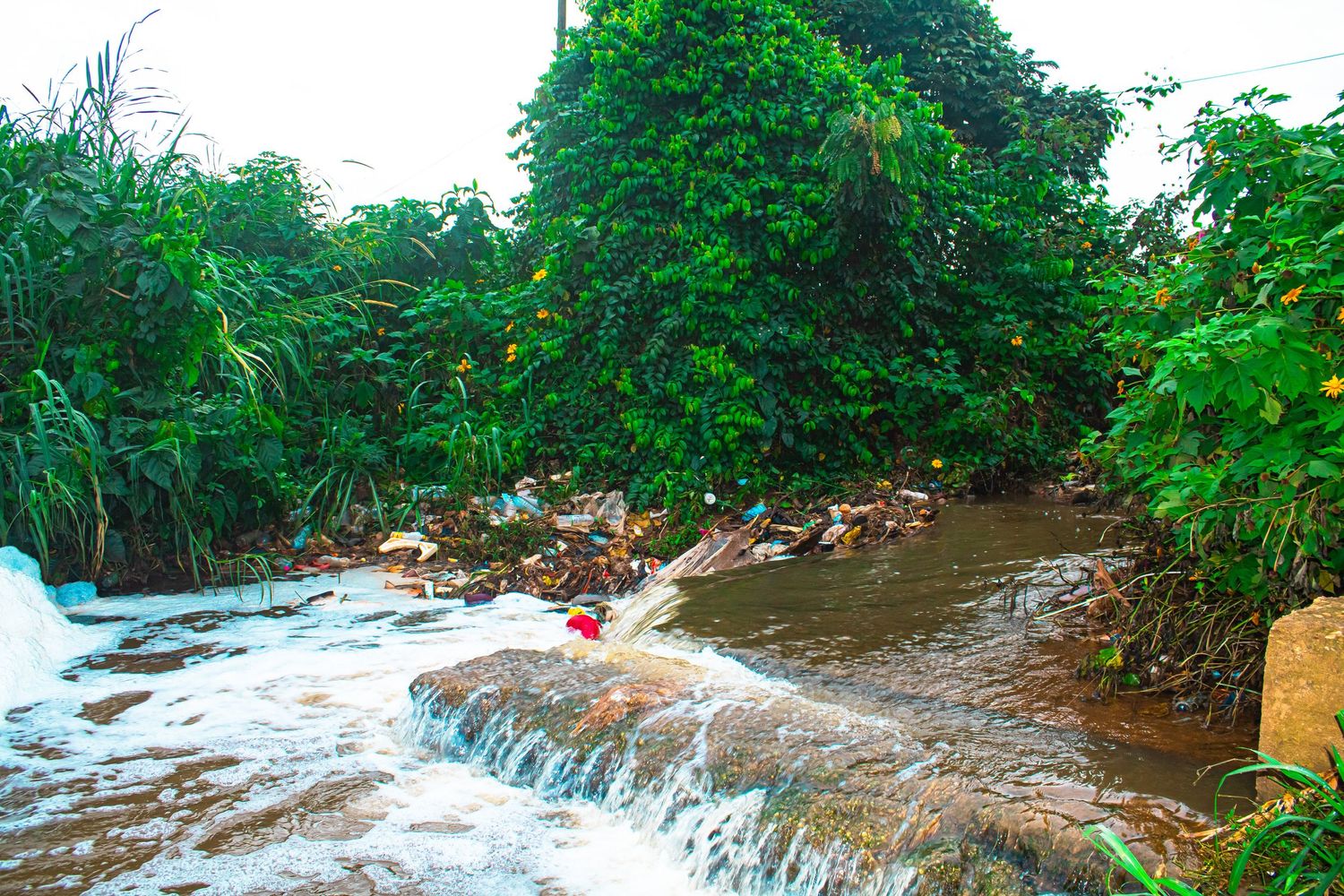 Rushing waterfall over rocks surrounded by dense tropical green vegetation.