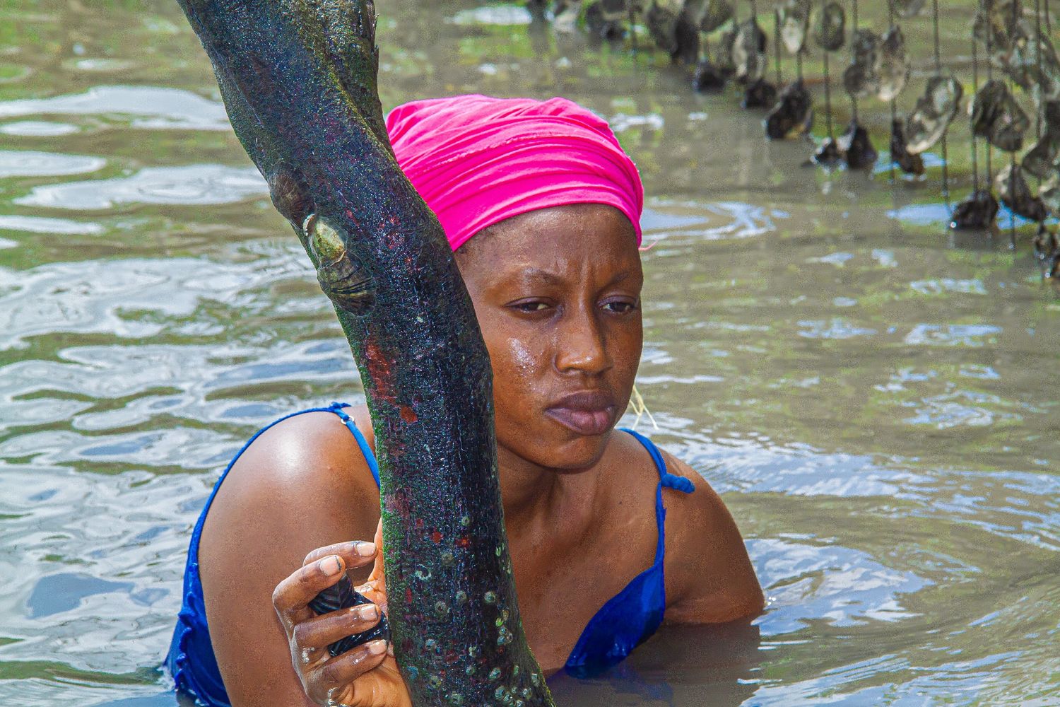 Woman in pink headwrap clinging to a tree trunk while standing in flood water.
