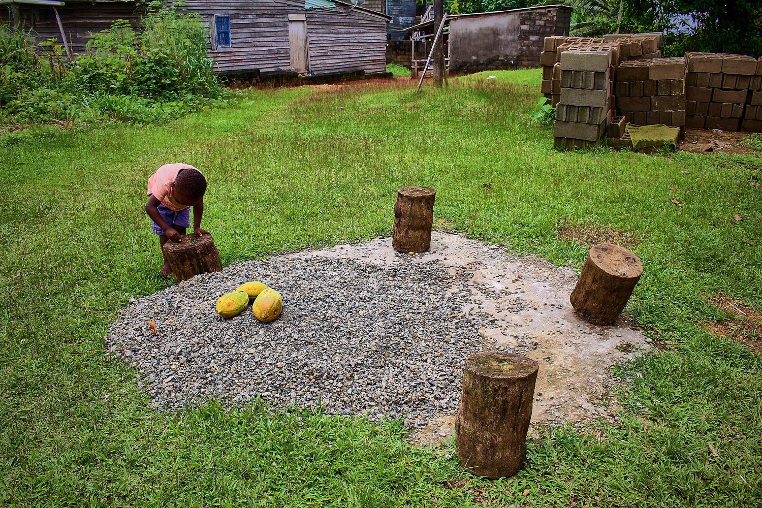 A child bends over a gravel circle surrounded by wooden stumps and yellow fruit in a green yard.