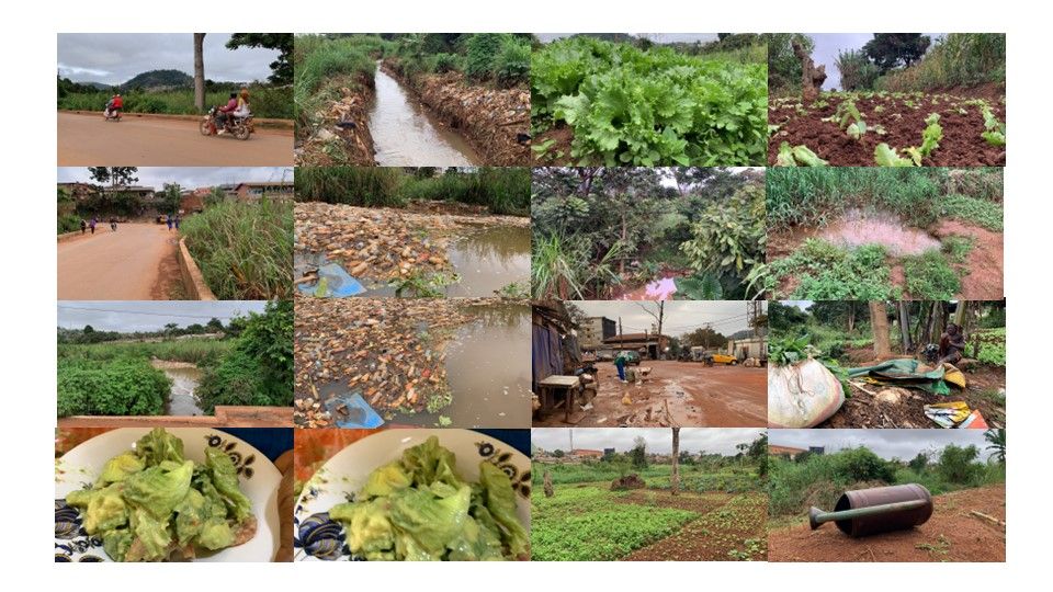 Collage of rural African farming scenes showing red dirt roads, crops, water sources, and vegetation in a tropical setting.