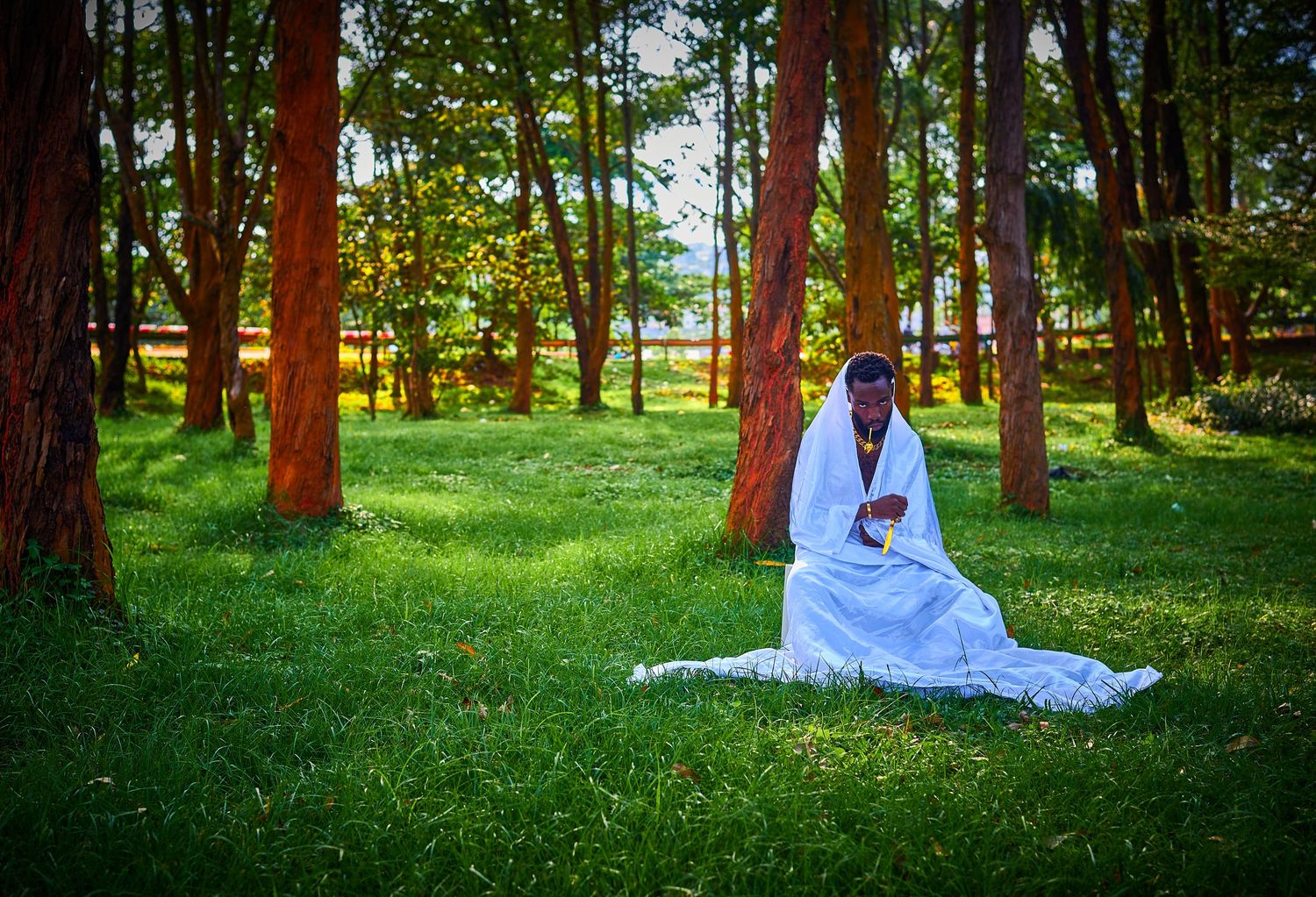 A person dressed in white robes sits meditatively on green grass surrounded by tall red-trunked trees.