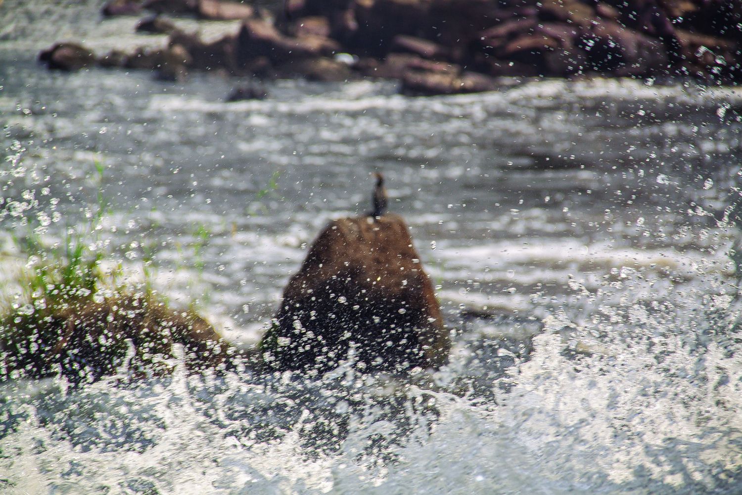 Water splashing dramatically around a submerged rock in a fast-flowing tropical river.