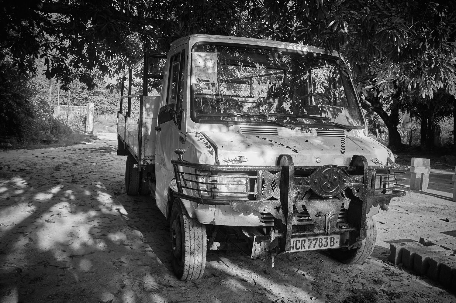 Abandoned rusty old truck parked under trees in black and white photo.