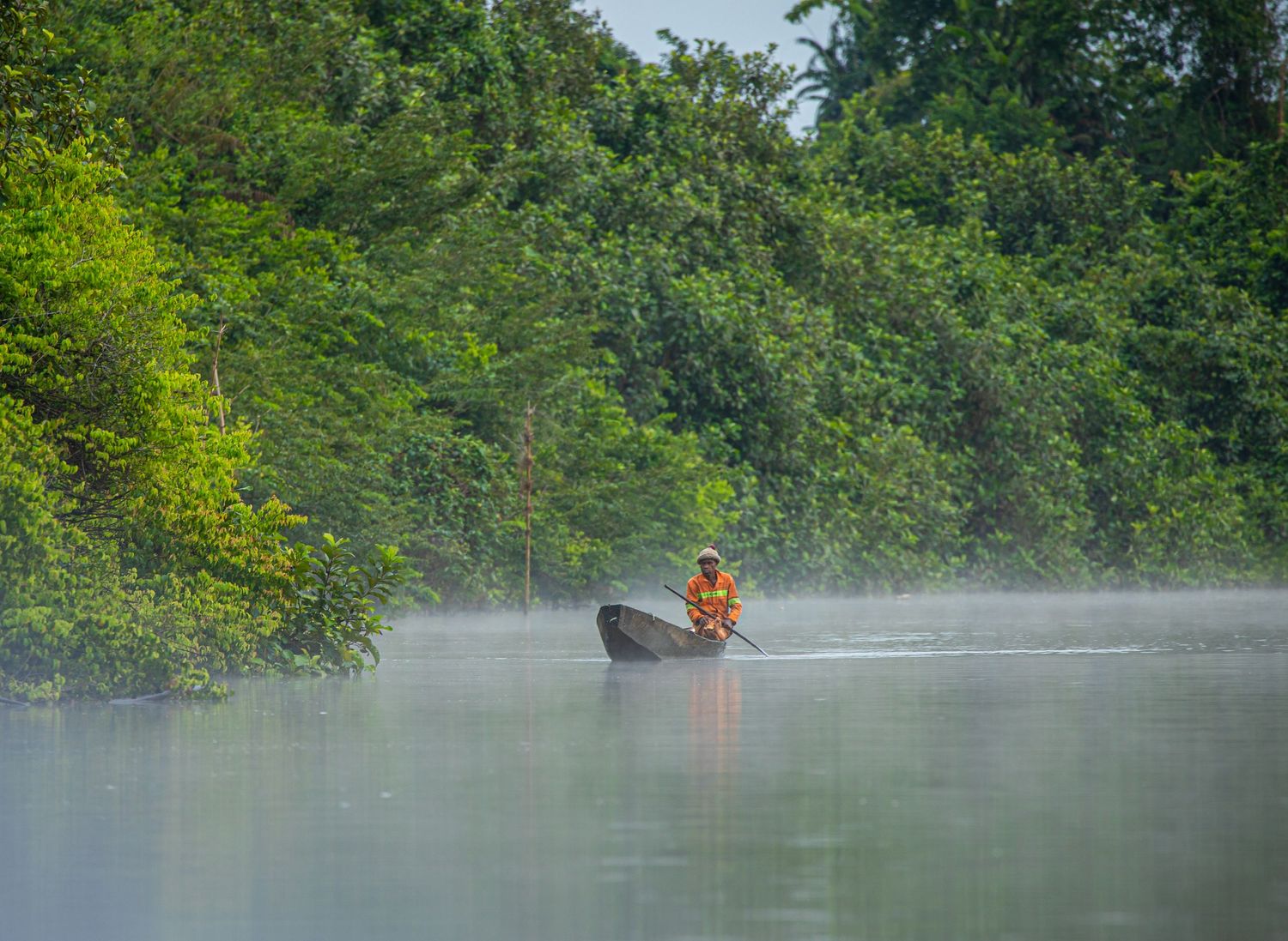 Lone fisherman rowing a small boat through misty morning fog on a tranquil tropical river.