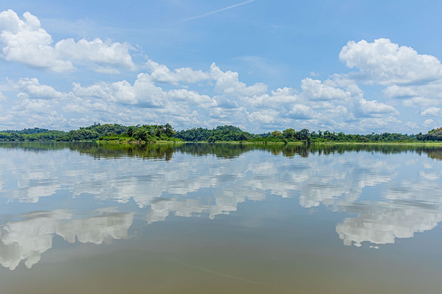 Calm river reflecting blue sky and white clouds with lush green tree line on the horizon.