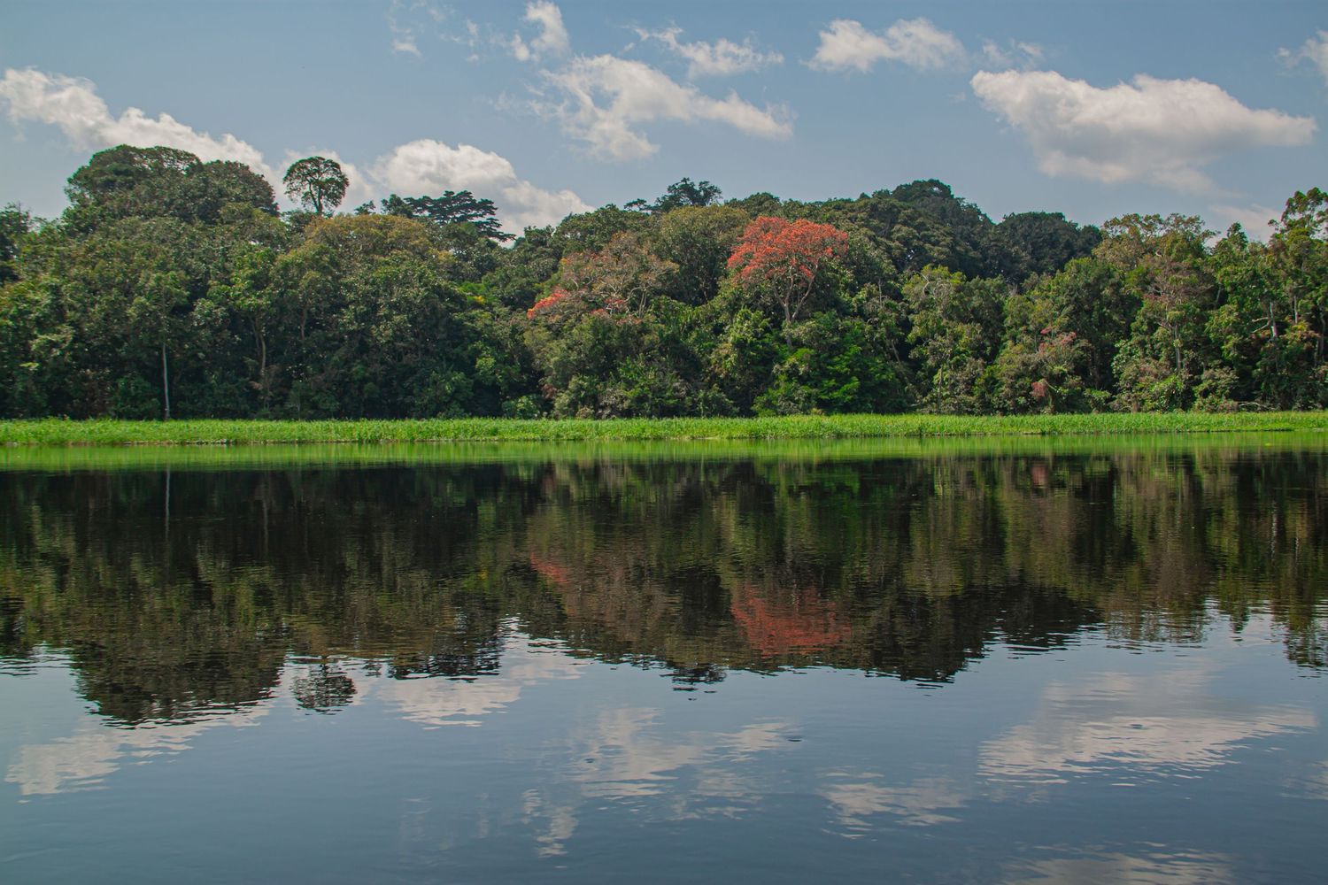Lush tropical forest reflecting perfectly in a calm lake under a partly cloudy sky.