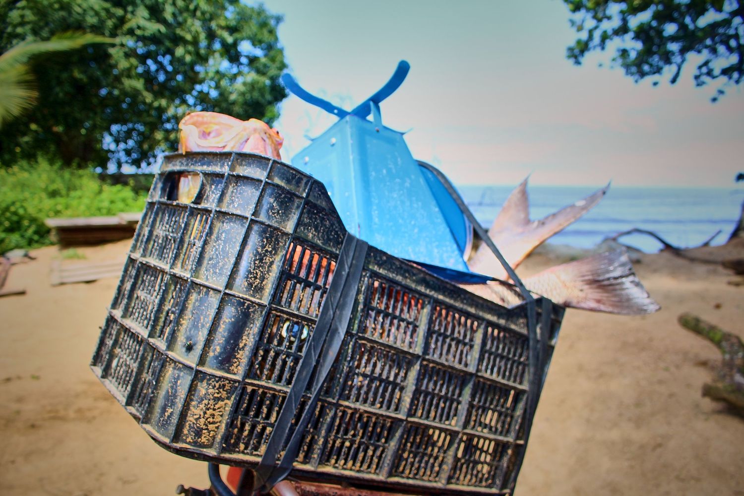 Person carrying a plastic crate filled with fresh fish and blue bags on a tropical sandy beach.