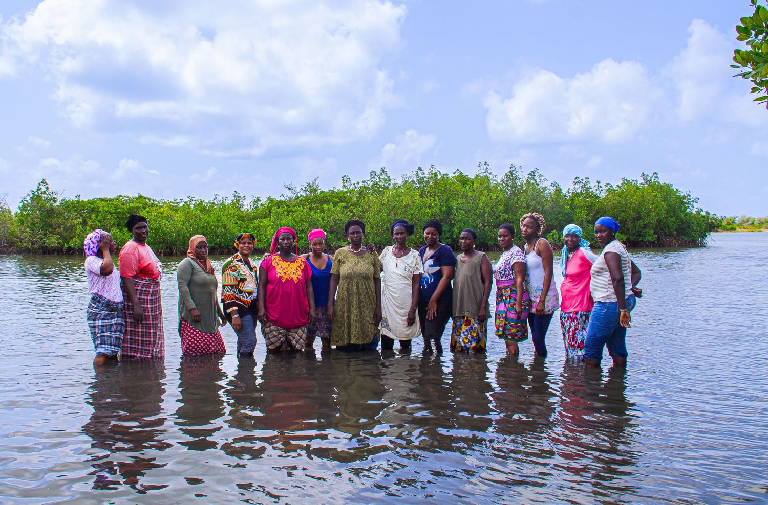 Large group of African women posing together in shallow coastal waters near green mangrove trees.