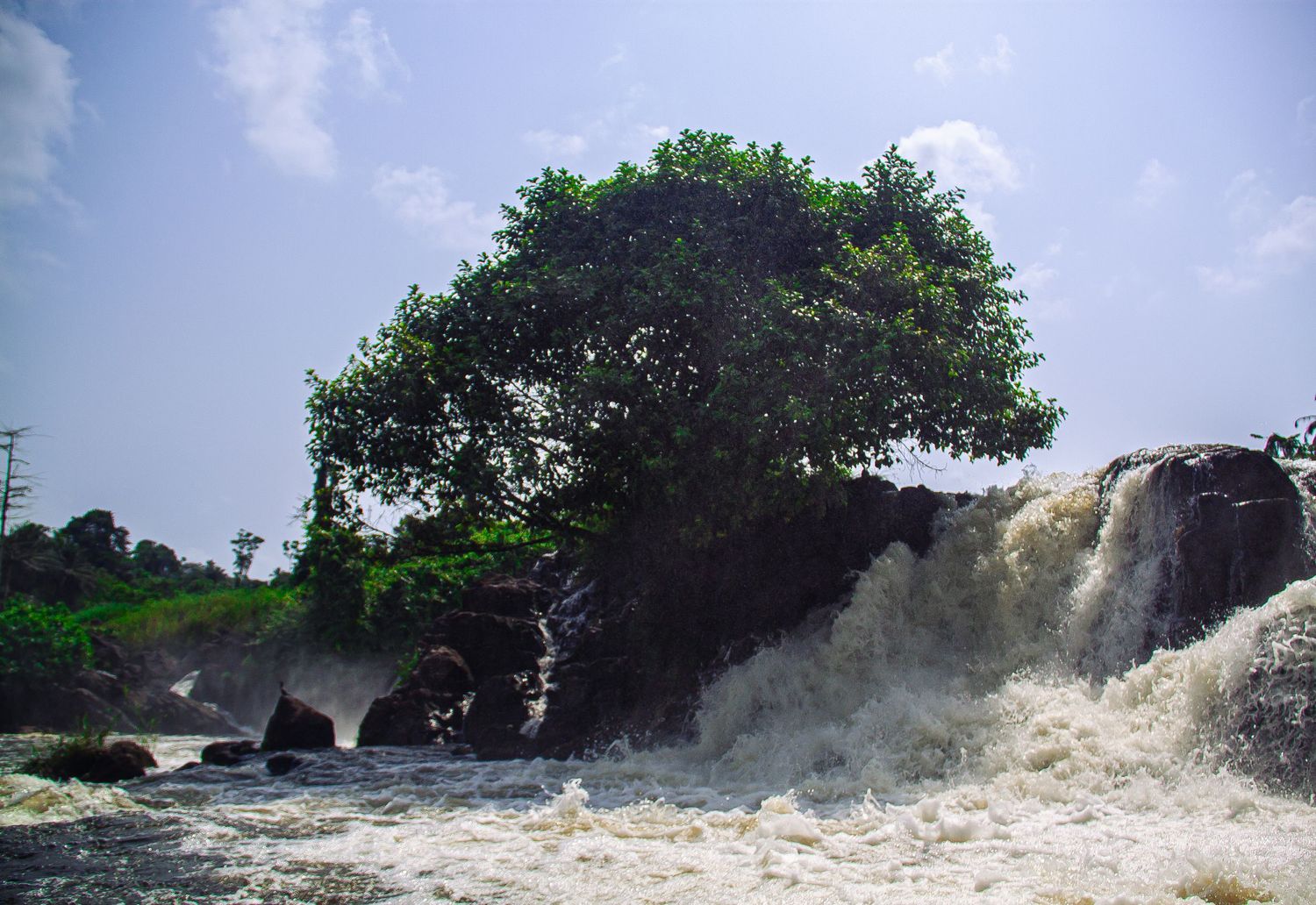 Powerful waterfall crashing over rocks beside a large tree under a bright blue sky.