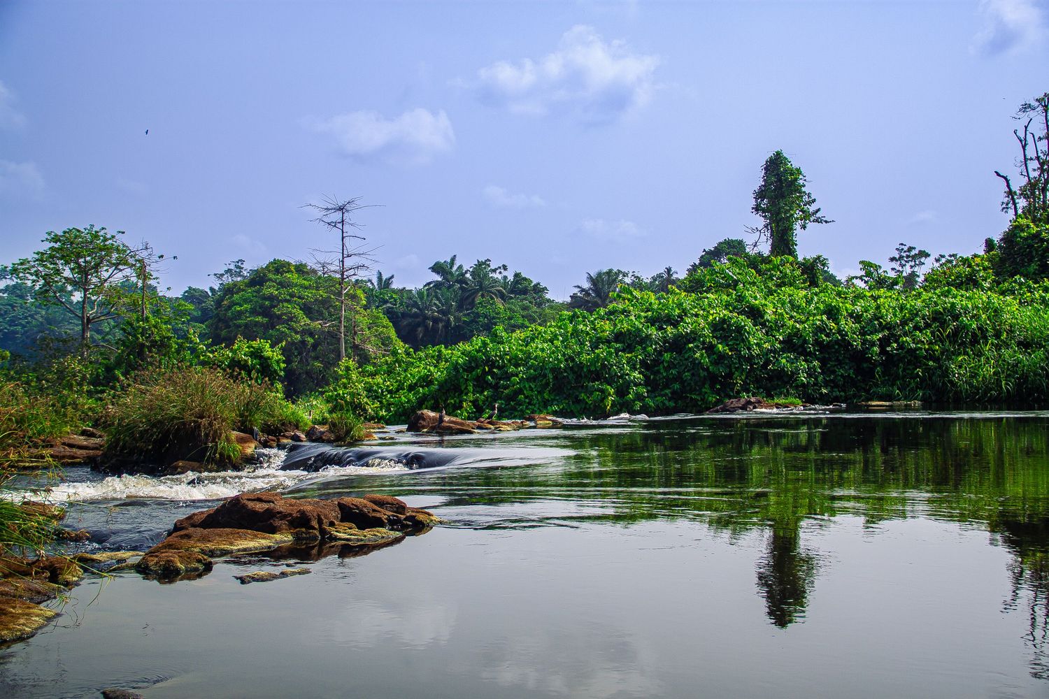 Calm river with rocky shores surrounded by lush tropical greenery reflecting in still waters under a blue sky.