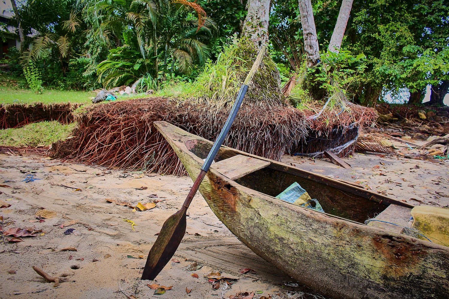 A weathered wooden dugout canoe with a paddle resting on a tropical sandy beach surrounded by lush green vegetation.