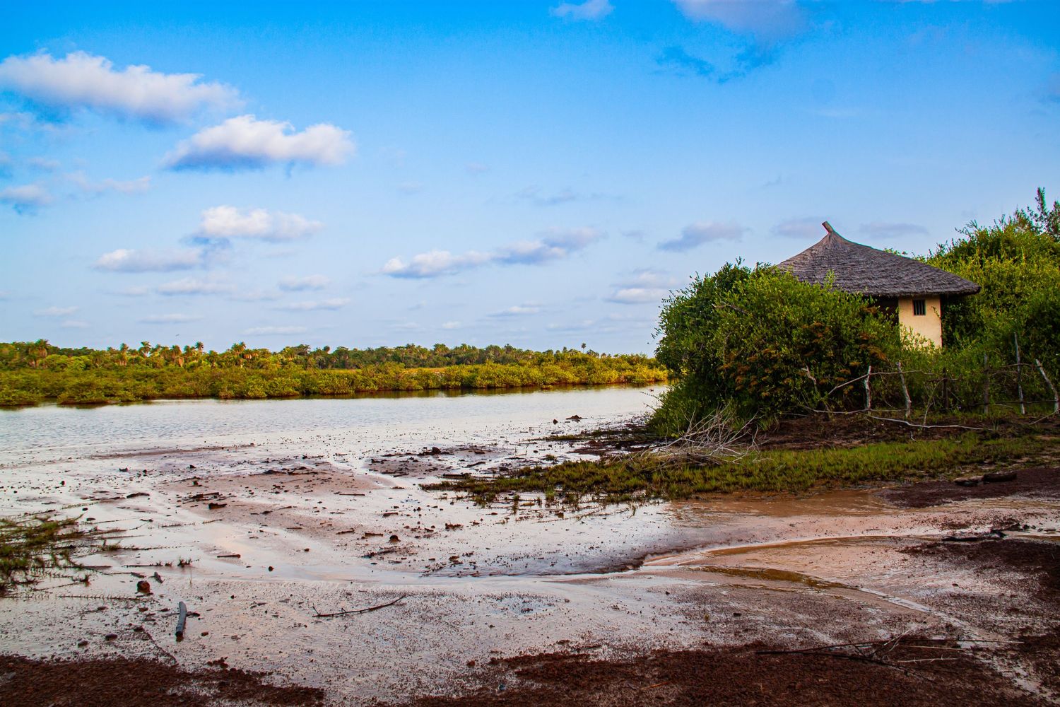 Muddy riverbank with a thatched hut surrounded by lush green vegetation under a blue sky.