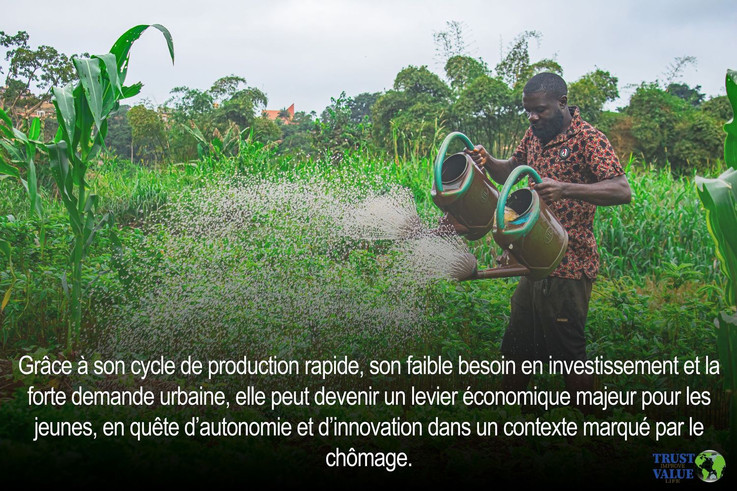 African woman watering urban vegetable garden with text about lettuce as economic opportunity for youth.